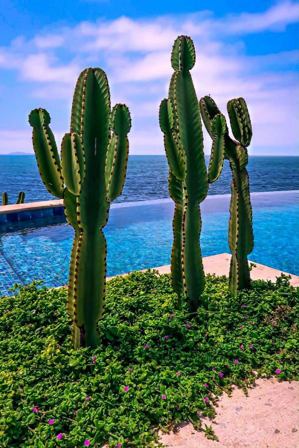Casa Natalie Hotel Ensenada Eksteriør billede